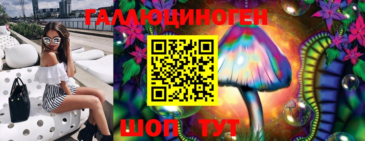 Анапа  Псилоцибиновые грибы Psilocybe  Галлюциногенные грибы прущие грибы  Вход с VPN 