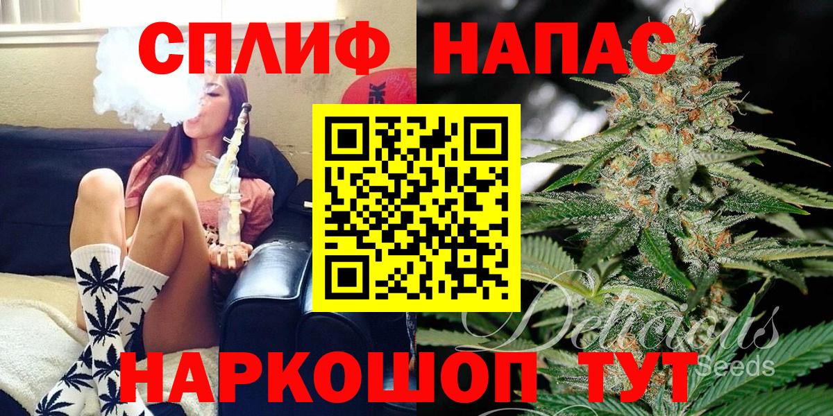 Бошки Шишки планчик Анапа